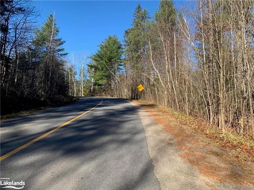 1627 Houseys Rapids Rd, Gravenhurst, ON - Outdoor With View