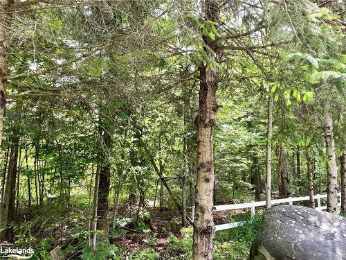 Lot 454 Seguin Crescent, Tiny, ON 