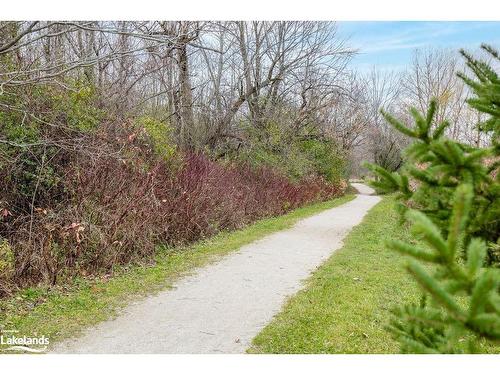 49 Barr Street, Collingwood, ON - Outdoor With View