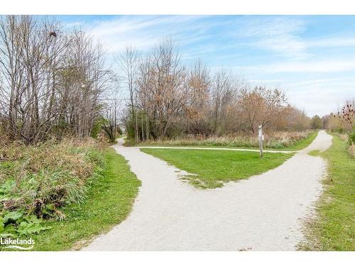 49 Barr Street, Collingwood, ON - Outdoor With View