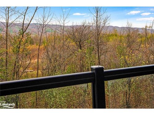 202-18 Beckwith Lane, The Blue Mountains, ON - Outdoor With View