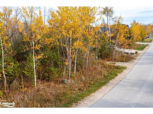 Lot 26 Delphi Lane, Town Of Blue Mountains, ON 