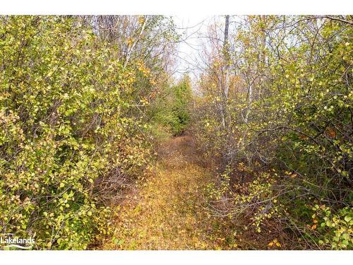 Lot 26 Delphi Lane, Town Of Blue Mountains, ON 