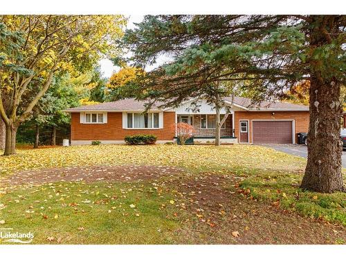 54 Townley St Street, Nottawa, ON - Outdoor