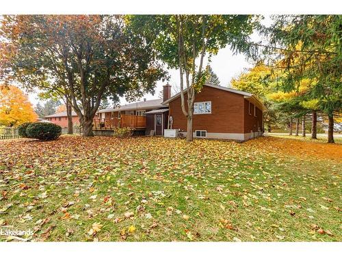 54 Townley St Street, Nottawa, ON - Outdoor