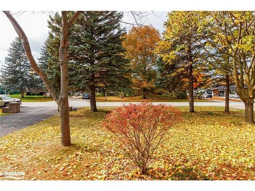 54 Townley St Street, Nottawa, ON - Outdoor With View