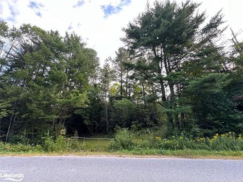 Part Lot 11 Hurdville Road, Mcdougall, ON 