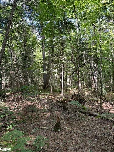 Part Lot 11 Hurdville Road, Mcdougall, ON 