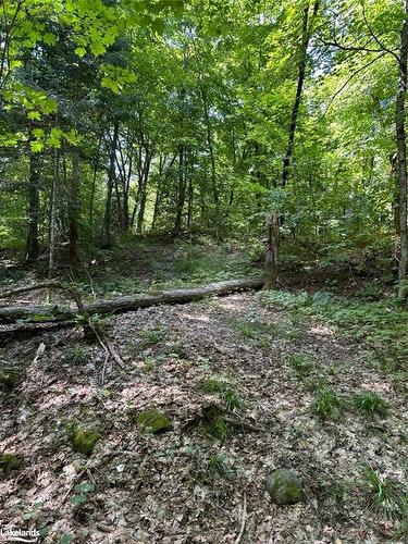 Part Lot 11 Hurdville Road, Mcdougall, ON 