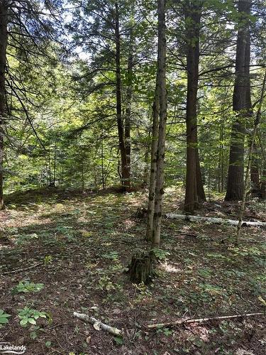 Part Lot 11 Hurdville Road, Mcdougall, ON 