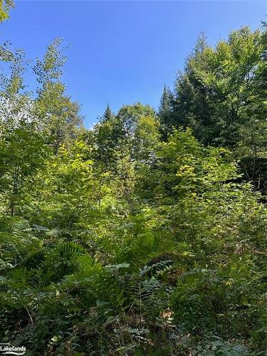 Part Lot 11 Hurdville Road, Mcdougall, ON 