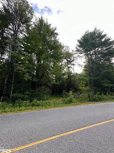 Part Lot 11 Hurdville Road, Mcdougall, ON 