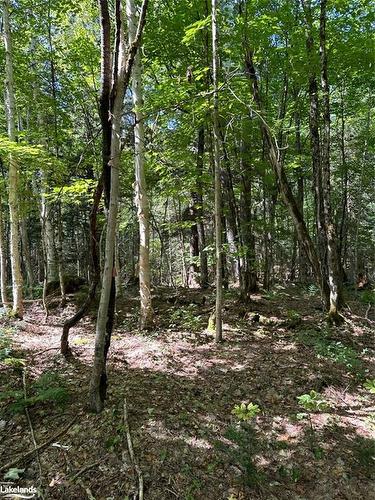 Part Lot 11 Hurdville Road, Mcdougall, ON 