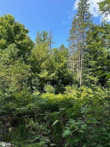 Part Lot 11 Hurdville Road, Mcdougall, ON 