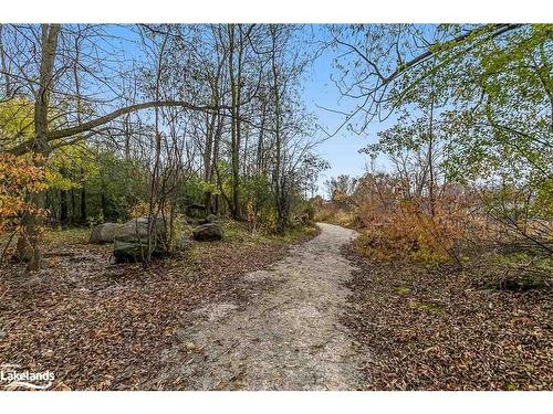 33 Niagara Street, Collingwood, ON - Outdoor With View