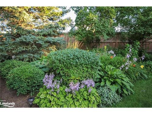 12 Smart Court, Collingwood, ON - Outdoor