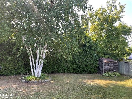 97 Lockhart Road, Collingwood, ON - Outdoor