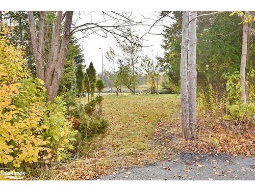 25 Ayling Reid Court, Wasaga Beach, ON - Outdoor With View