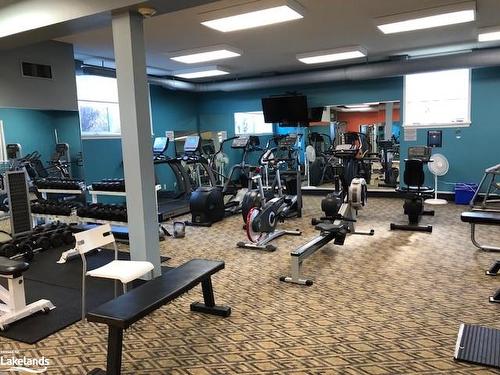 550 Mariners Way, Collingwood, ON - Indoor Photo Showing Gym Room