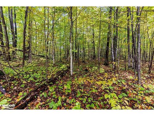 Lot 5 Voyageur Drive, Tiny Twp, ON 