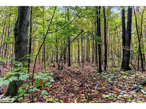 Lot 5 Voyageur Drive, Tiny Twp, ON 