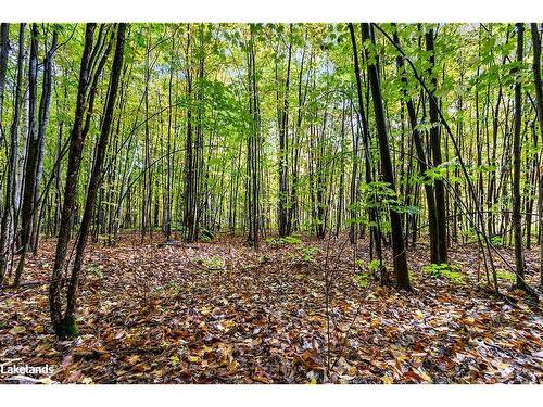 Lot 5 Voyageur Drive, Tiny Twp, ON 