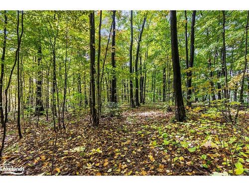 Lot 5 Voyageur Drive, Tiny Twp, ON 