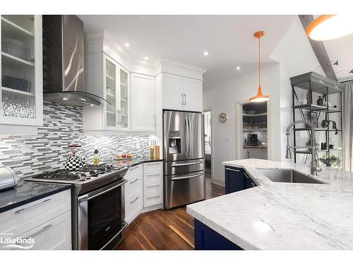 110 Landry Lane, Thornbury, ON - Indoor Photo Showing Kitchen With Upgraded Kitchen