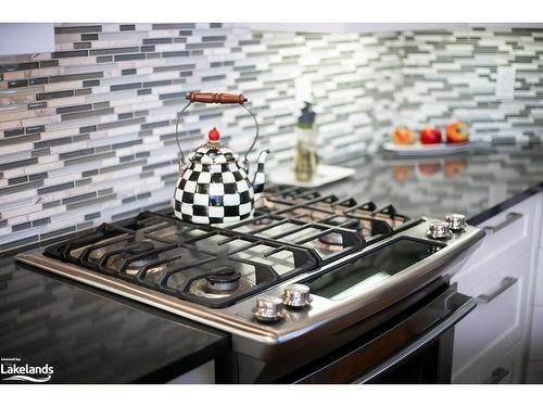 110 Landry Lane, Thornbury, ON - Indoor Photo Showing Kitchen