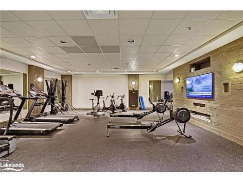 110 Landry Lane, Thornbury, ON - Indoor Photo Showing Gym Room