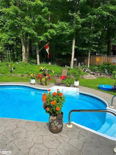 61 Woodland Drive N, Bracebridge, ON - Outdoor With In Ground Pool With Backyard