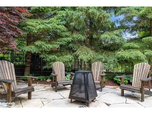 3 Burnside Court, Collingwood, ON - Outdoor With Backyard