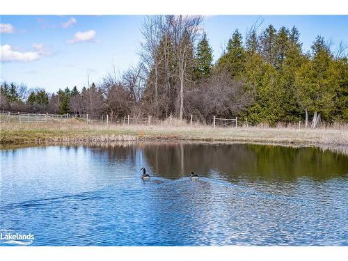 1617 County Rd 42, Clearview, ON 