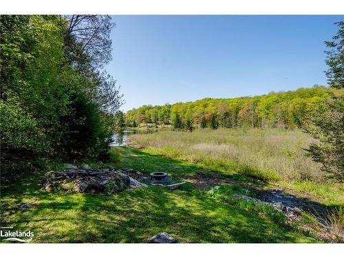 1020 Frau Lane, Bracebridge, ON - Outdoor With View