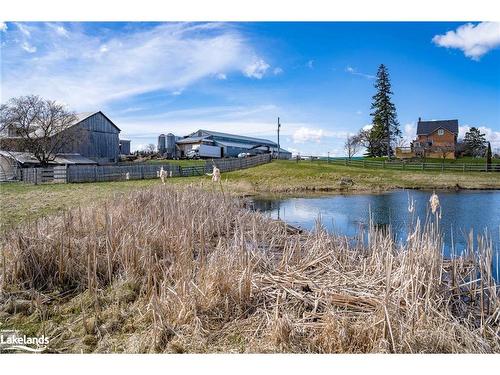 1617 County Rd 42, Clearview, ON 