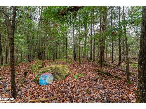 15-16-93 Rye Road, South River, ON - Outdoor With View