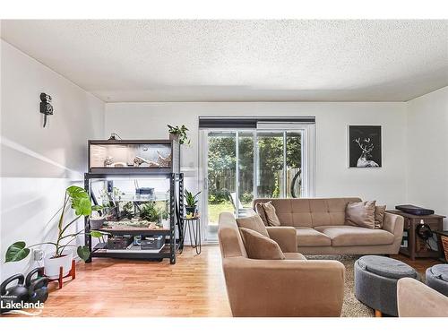 592 Tenth Street, Collingwood, ON - Indoor Photo Showing Living Room