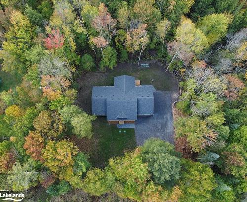 710 Domtar Road, Utterson, ON - Outdoor With View