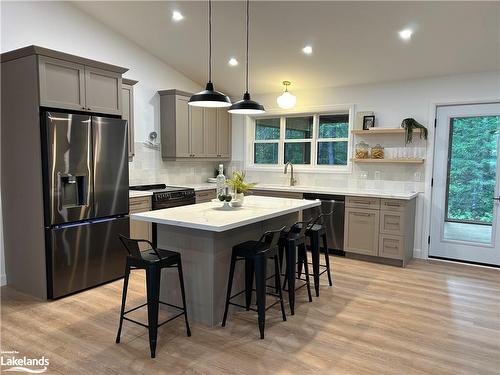 710 Domtar Road, Utterson, ON - Indoor Photo Showing Kitchen With Upgraded Kitchen