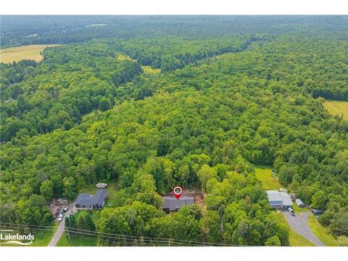 710 Domtar Road, Utterson, ON - Outdoor With View