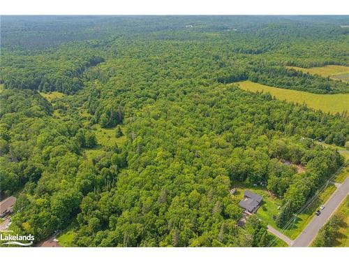 710 Domtar Road, Utterson, ON - Outdoor With View