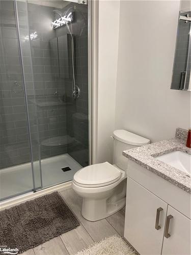 44 Conservation Way, Collingwood, ON - Indoor Photo Showing Bathroom