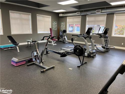 44 Conservation Way, Collingwood, ON - Indoor Photo Showing Gym Room