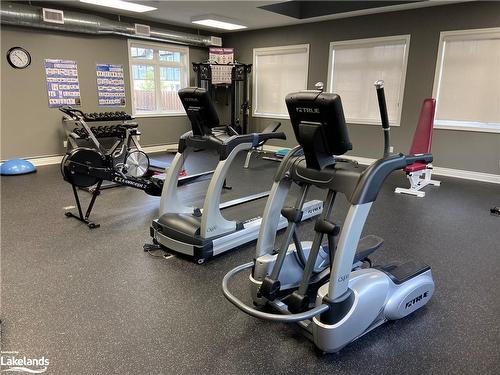 44 Conservation Way, Collingwood, ON - Indoor Photo Showing Gym Room