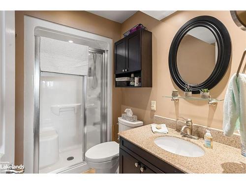 1169 Crooked House Road, Minden Hills, ON - Indoor Photo Showing Bathroom