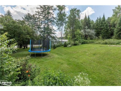 337 Ontario Street, Burk'S Falls, ON - Outdoor With Backyard