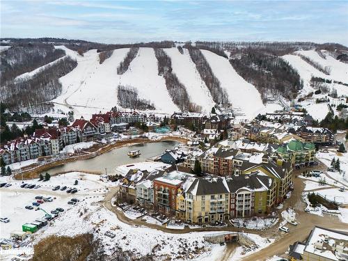 201-10 Brandy Lane Drive, Collingwood, ON - Outdoor With View