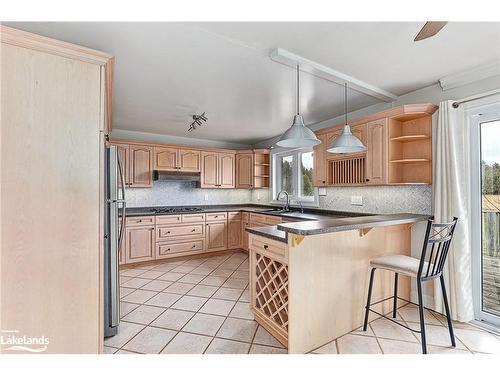 4228 Hogback Road, Glencairn, ON - Indoor Photo Showing Kitchen