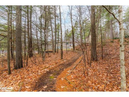 1012 Parasol Drive, Algonquin Highlands, ON - Outdoor With View