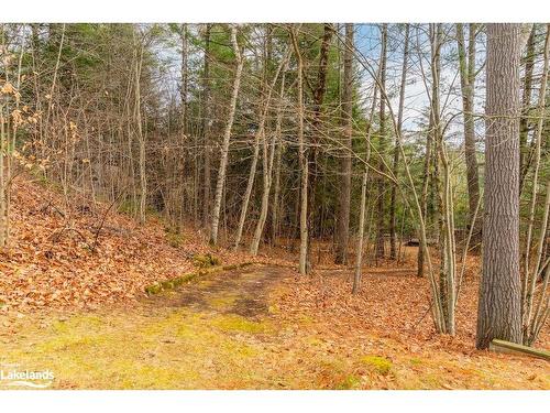 1012 Parasol Drive, Algonquin Highlands, ON - Outdoor With View